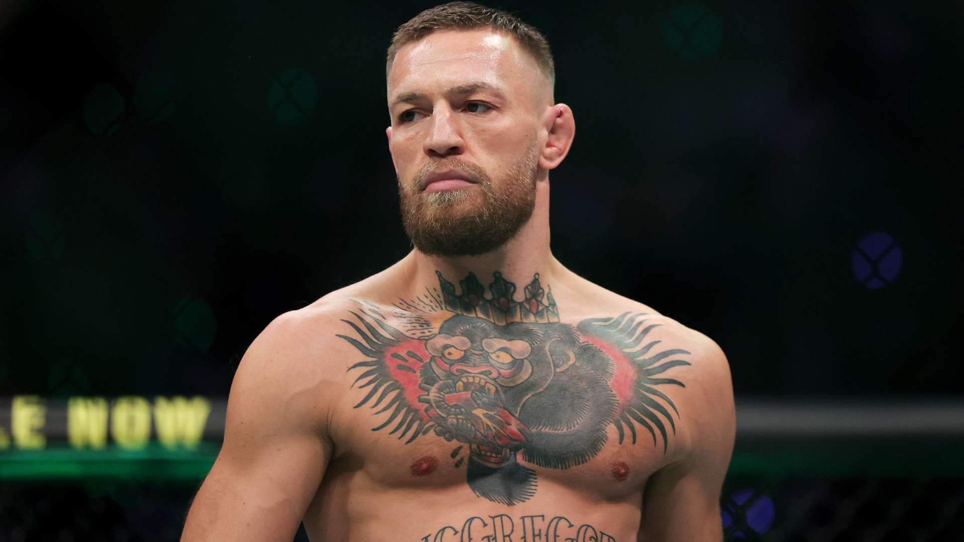 关注未来的 关注未来的